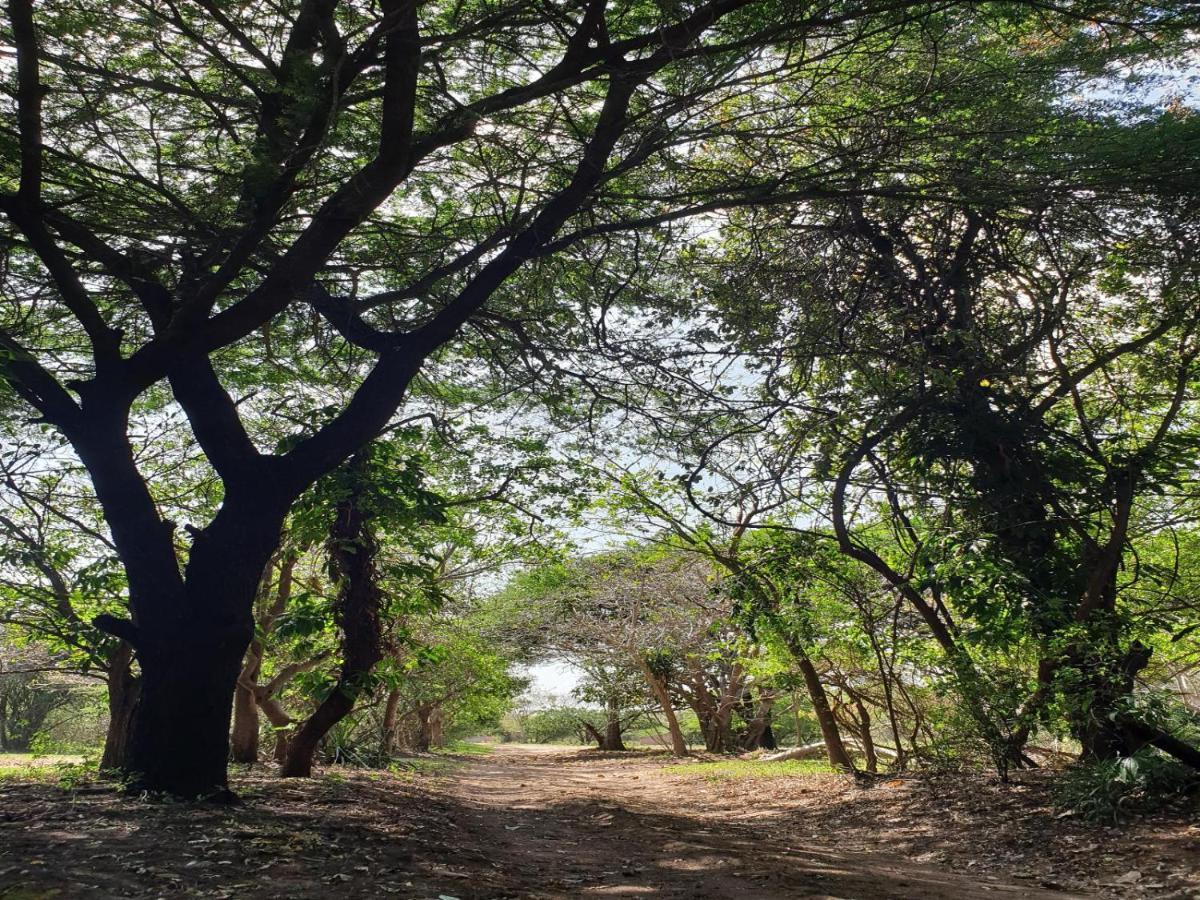 Pumusa Bushcamp Hluhluwe Kültér fotó