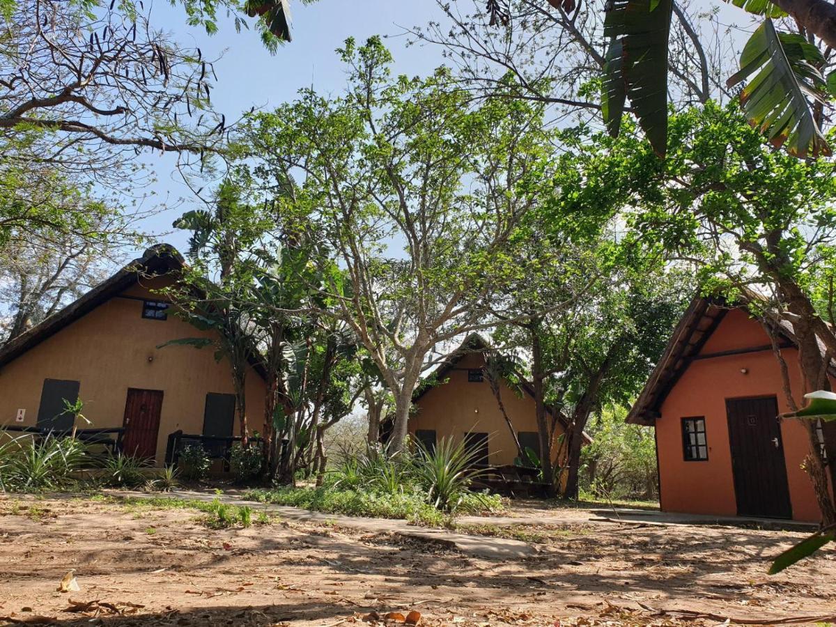 Pumusa Bushcamp Hluhluwe Kültér fotó