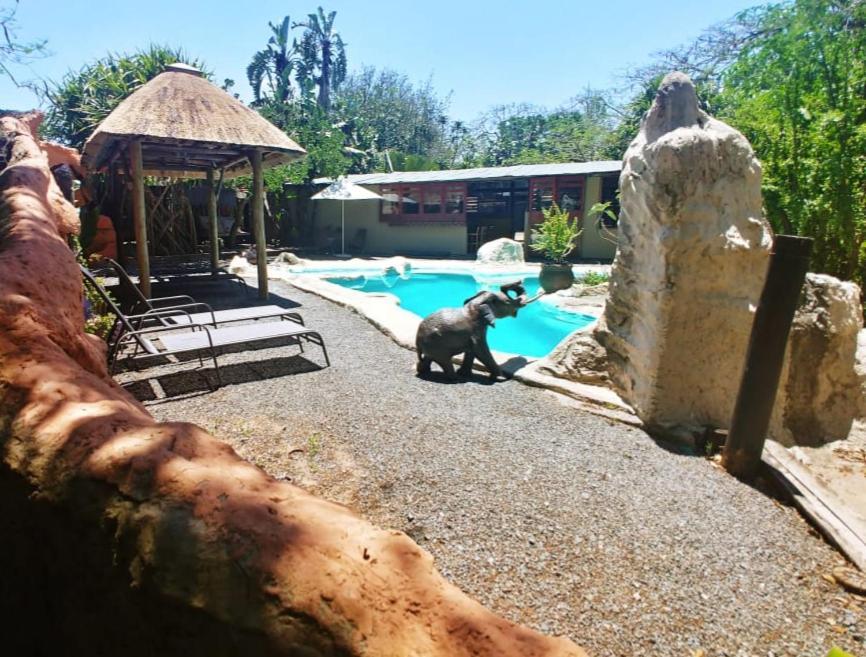 Pumusa Bushcamp Hluhluwe Kültér fotó