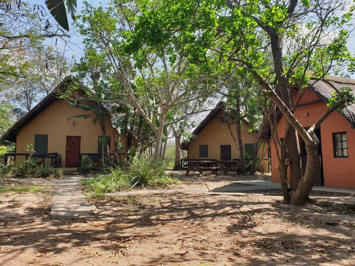 Pumusa Bushcamp Hluhluwe Kültér fotó